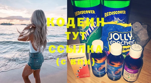 прущие грибы Абинск