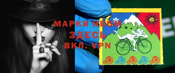 прущие грибы Абинск