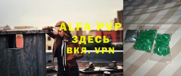 прущие грибы Абинск