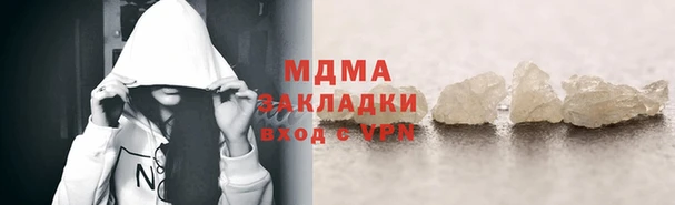 прущие грибы Абинск