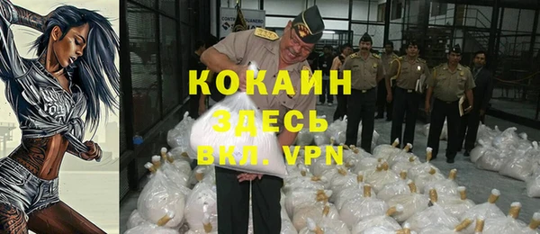 бошки Ладушкин
