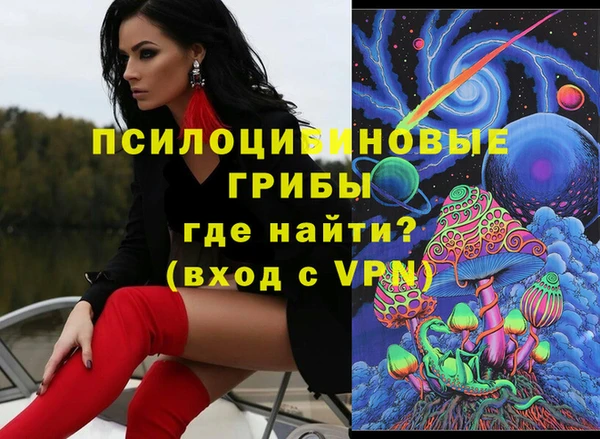 прущие грибы Абинск