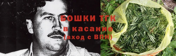 прущие грибы Абинск
