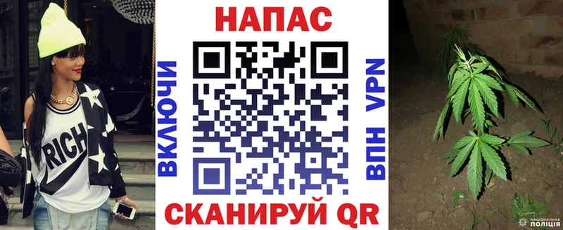 купить  цена  Циолковский  мега ссылка  Каннабис AK-47 